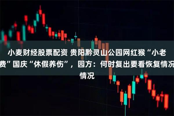 小麦财经股票配资 贵阳黔灵山公园网红猴“小老费”国庆“休假养伤”，园方：何时复出要看恢复情况