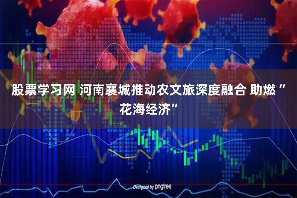 股票学习网 河南襄城推动农文旅深度融合 助燃“花海经济”
